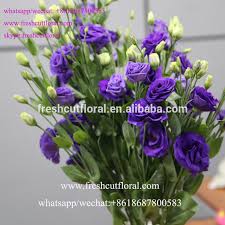 Roses flowers bouquet desktop images wallpapers free. Best Online Export Fresh Cut Eustoma Chinese Name Beautiful Flowers Red Roses For Wedding Bouquet Arrangements Buy Eustoma Lisianthus Flowers Wholesale Fresh Cut Eustoma Lisianthus Flowers Eustoma Lisianthus Flowers For Bouquet Arrangements Weddings