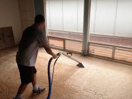 boise carpet cleaning professional