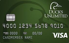 Visa® platinum card covers your primary. Uber Visa Approval Odds Myfico Forums 5703485