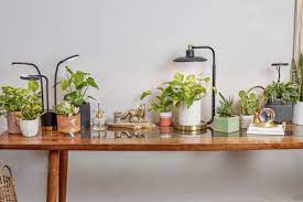 Indoor Led Grow Light Kit For Gardens