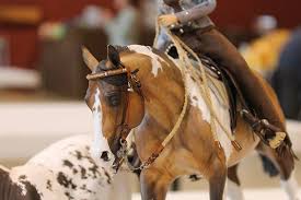 Sometimes contests are posted for this but not often and there are thousands of entrants for them. Pint Sized Competition Discover The World Of Model Horse Showing The Cheshire Horse