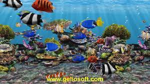 Explore free animated wallpaper windows 10 on wallpapersafari | find more items about animated wallpapers windows 10, moving desktop wallpapers look real, moving 3d wallpapers free download. 3d Fish School Aquarium Screensaver Tropical Fish Tank For Windows Hd Youtube