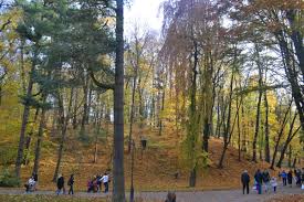 Autumn in Ukraine: Best Places to Visit in Autumn – Blog about tours to  Ukraine