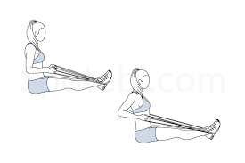 Band Seated Row Illustrated Exercise Guide