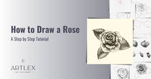 how to draw a rose a step by step
