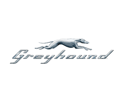 greyhound elmira ny transportation