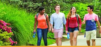 Hofstra University   The Princeton Review College Rankings   Reviews Request Info