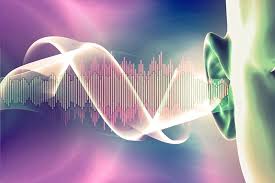 the human hearing frequency range and