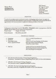 How To Make Cv Example Sample Template Example Of Excellentcv