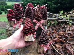 See How To Make Pine Cone Fire Starters