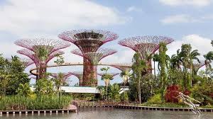 gardens by the bay tickets with flower