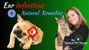 natural remes for dog and cat ear