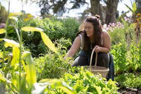 Grow And Eat Seasonally In Auckland