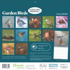 2024 rspb garden birds wall calendar