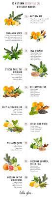 What i love about these blends is you get that fragrant aroma that makes you feel like it is a cold winter day, it might remind you of special family traditions or memories. 10 Essential Oil Blends To Make Your House Smell Like Fall Hello Glow