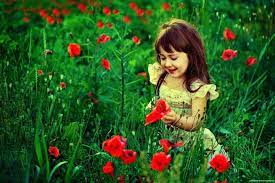 Beautiful 456+ good morning flower images free download for whatsapp. Whatsapp Dp Images Hd Download Flower Images Beautiful Baby Girl Nature Inspiration