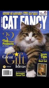 Shop from the world's largest selection and best deals for cat fancy dresses for women. 14 Best Inside Cat Fancy Magazine Ideas Cat Magazine Inside Cat Fancy Cats