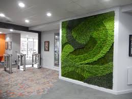 Moss Walls Moss Art With A Wow Factor