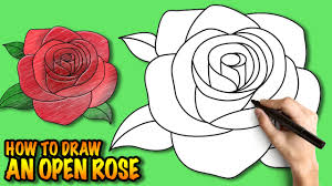 how to draw an open rose easy step by
