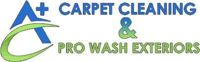 home a carpet cleaning pro wash