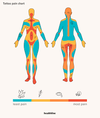 Vocabulary for parts of female body. Tattoo Pain Chart Where It Hurts Most And Least And More