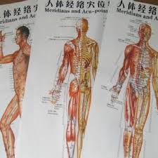 Us 5 45 6 Off Meridian Acupuncture Wall Charts The Human Meridian Points Diagrams Hand Foot Wall Charts Scrapping Flipchart In Massage