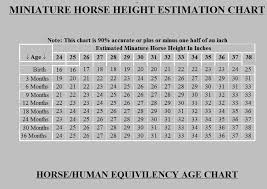 Miniature Horse Size Growth Chart Horses Miniatures Chart
