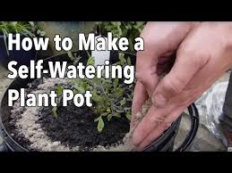 how to make a self watering plant pot