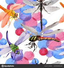 Exotické Dragonfly Divoké Hmyzu Vzor Ve Stylu Akvarelu Stock