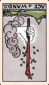 The power of fire is indeed magical. The Card Of The Day The Ace Of Wands Reversed Elliot Oracle Tarot Card Readings