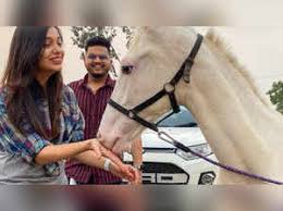 divya agarwal gifts herself a horse