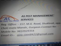 top residential pest control services