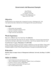 Community and Social Service Resume Samples 