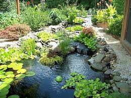 64 Wonderful Backyard Ponds And Water