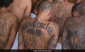 Originally, the gang was set up to protect salvadoran immigrants from other gangs in the los angeles area. Ms 13 Gang Members Accused Of Killing Teen Claimed Satan Wanted A Soul Police Say