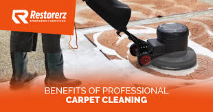 benefits of professional carpet