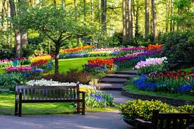 Tulip Gardens Images Browse 771 835