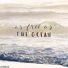 909 quotes have been tagged as ocean: 29 Ocean Wisdom Ideas Wisdom Inspirational Quotes Quotes