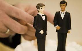 Image result for gay sex marriage gifs