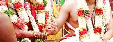 Iyengar Brides Tamil Iyengar Matrimony Girls Divyavivaham