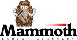 mammoth cleaners