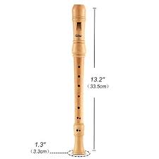 Eastar Ers 31bm Baroque Maple Wood Soprano Recorder Set C Key 3 Piece Instrument With Hard Case Joint Grease Fingering Chart And Cleaning Kit