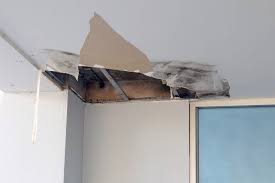 Home Or Business From Water Damage