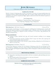 Career Objective Example Resume   Free Resume Example And Writing     Domainlives