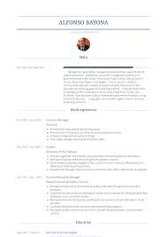 Financial Manager Resume Samples And Templates Visualcv