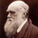 Image result for charles darwin resources for ks1l