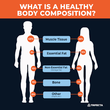 what is body composition and 5 ways to