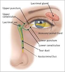 dry eye syndrome and symptoms dr