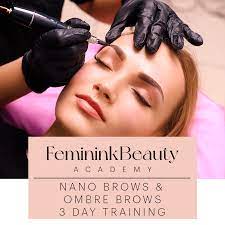 ombre brows 3 day training course