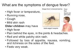 Are there any vaccines to prevent dengue? Dengue Fever Essay For Kids